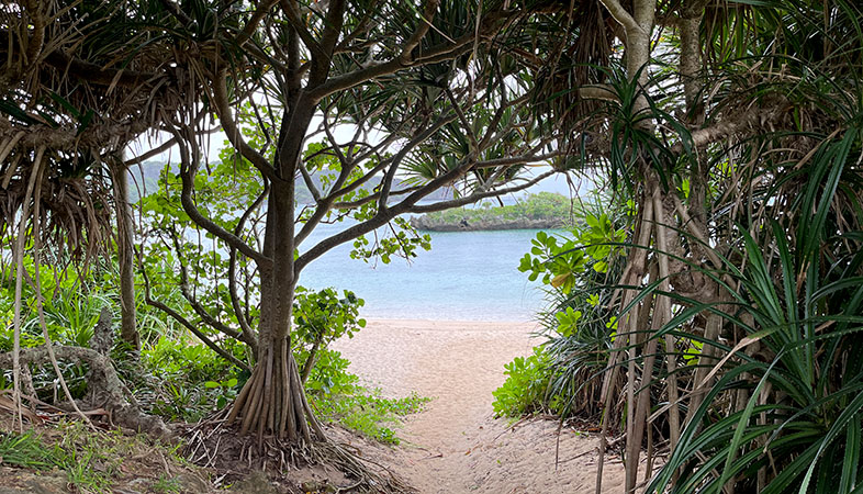 一歳児子連れで訪れた沖縄旅行